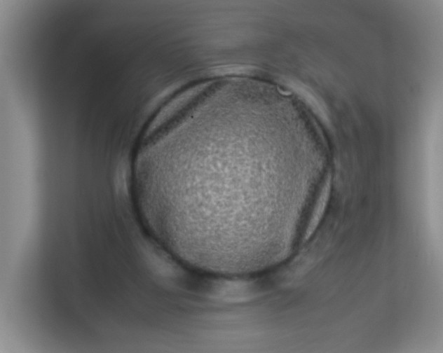 X0000113290107200909281020