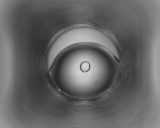 X0000113290108200909281020