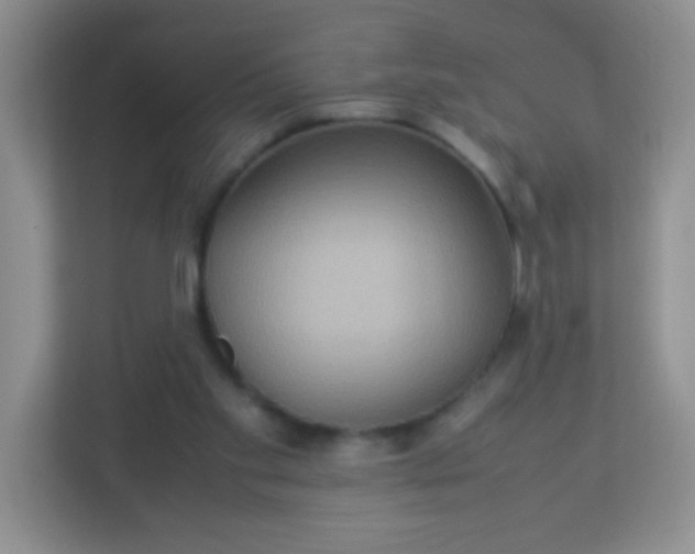 X0000113290109200909281020