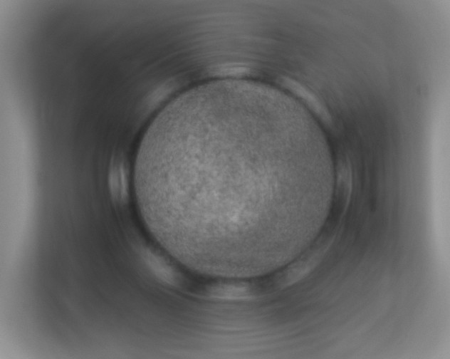 X0000113290110200909281020