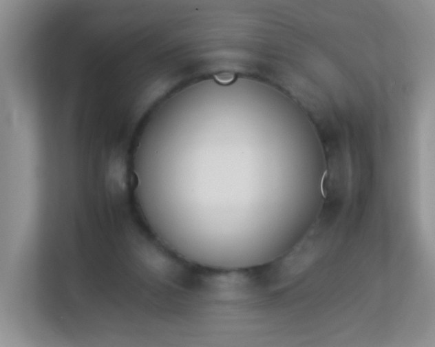 X0000113290112200909281020