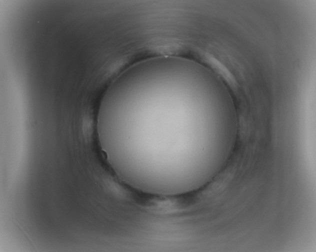 X0000113290113200909281020