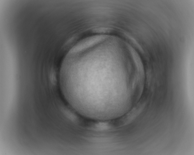 X0000113290114200909281020