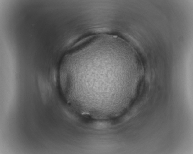 X0000113290115200909281020