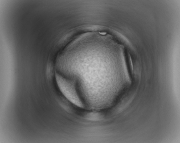 X0000113290119200909281020