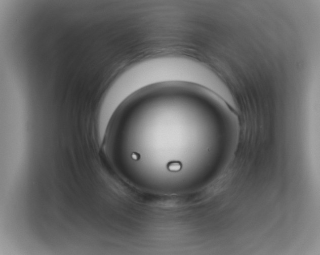 X0000113290120200909281020