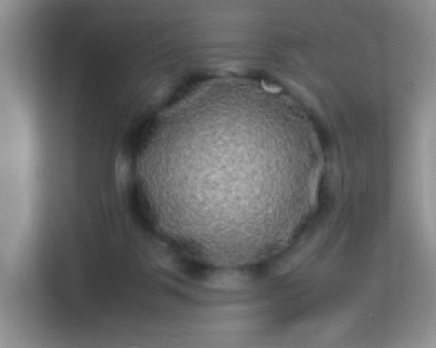 X0000113290123200909281020