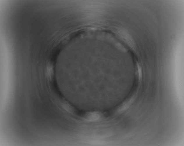 X0000113290127200909281020