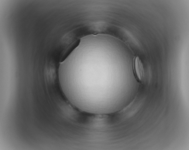 X0000113290128200909281020