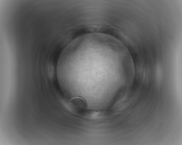 X0000113290130200909281020