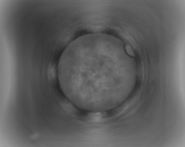 X0000113290131200909281020