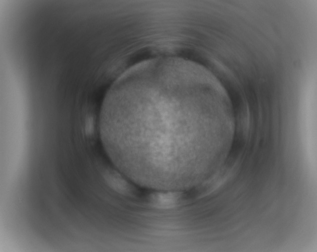 X0000113290134200909281020