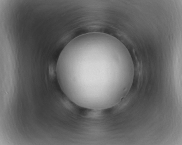 X0000113290138200909281020