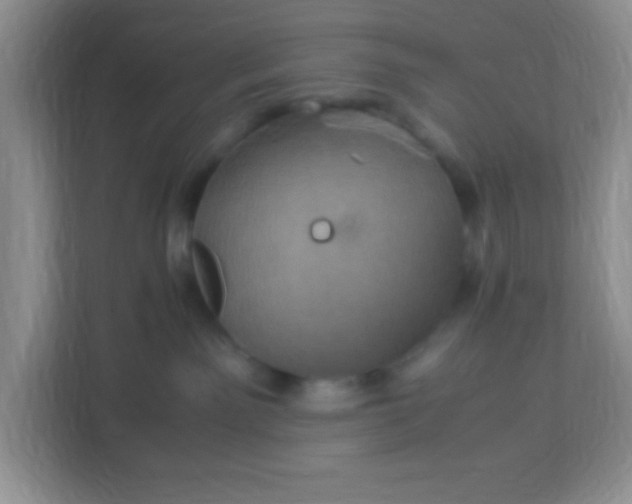 X0000113290141200909281020