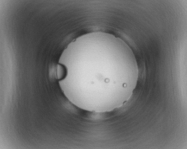 X0000113290142200909281020