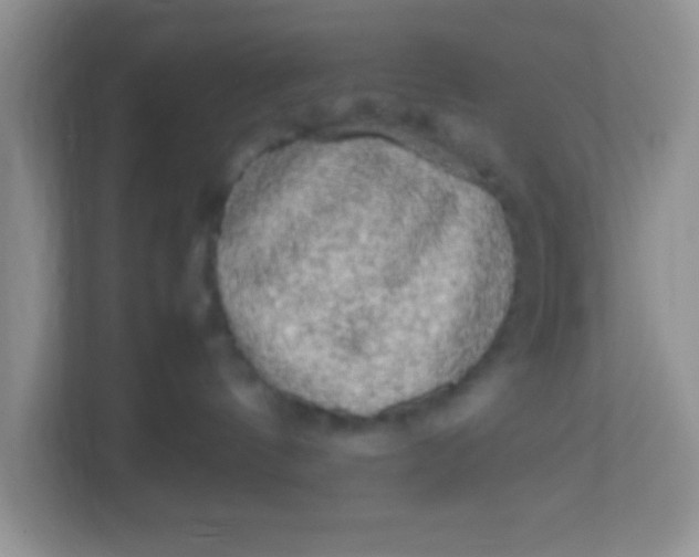 X0000113290144200909281019