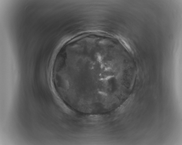 X0000113290145200909281019