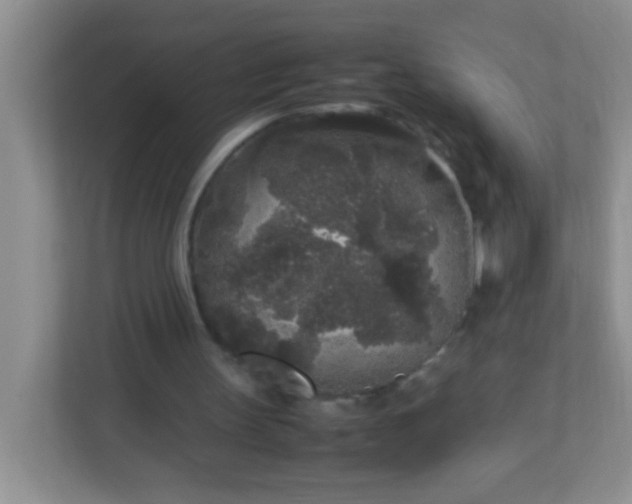 X0000113290147200909281019