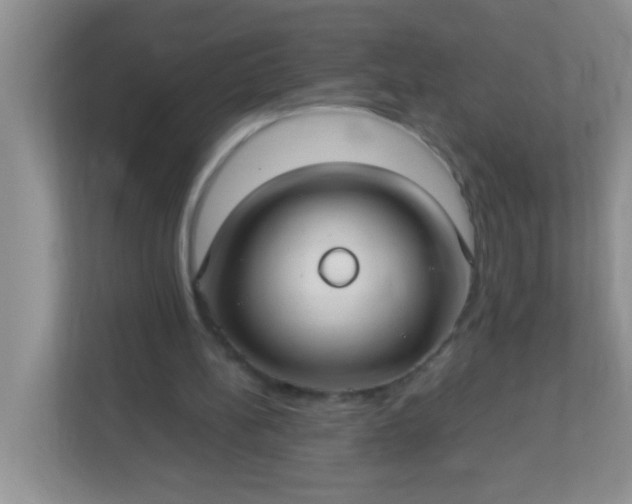 X0000113290148200909281019