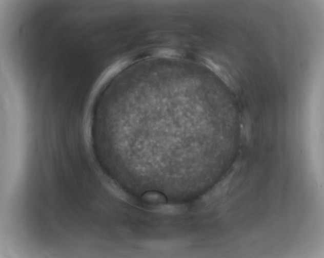 X0000113290149200909281019