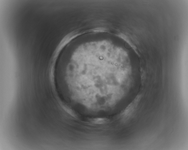 X0000113290151200909281019