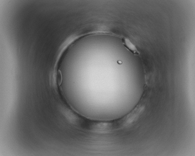 X0000113290152200909281019