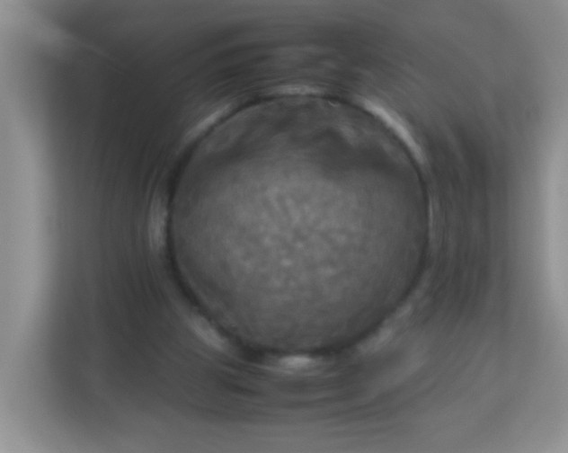 X0000113290153200909281019