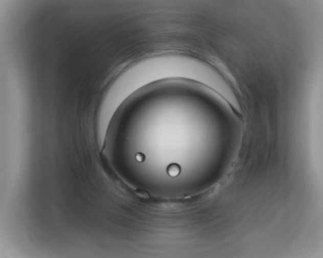 X0000113290154200909281019