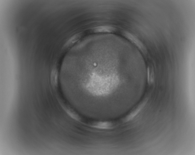 X0000113290157200909281019