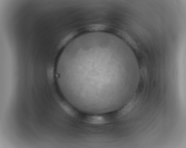 X0000113290159200909281019