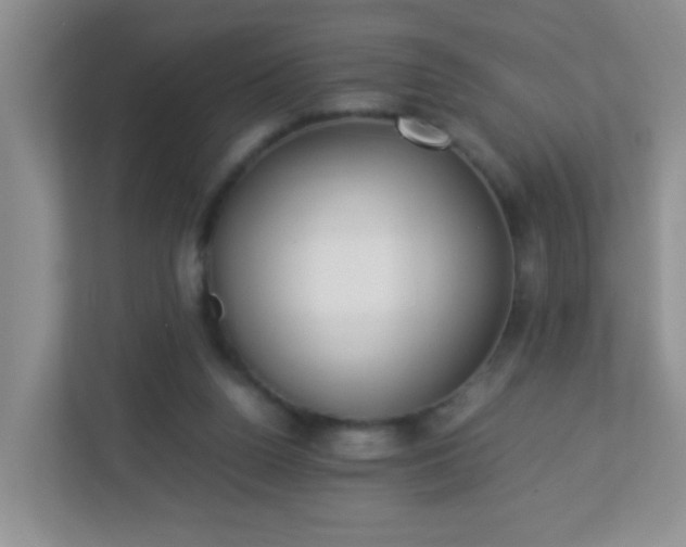 X0000113290160200909281019