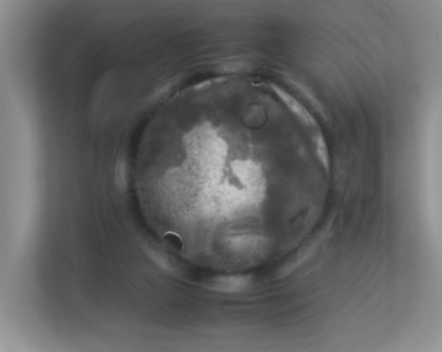 X0000113290161200909281019