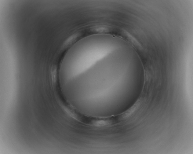 X0000113290163200909281019