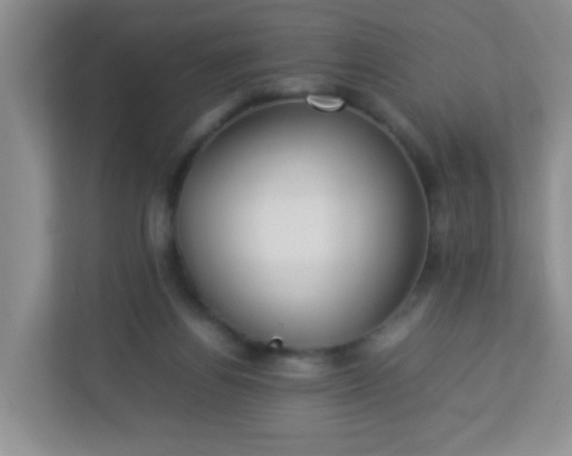 X0000113290164200909281019