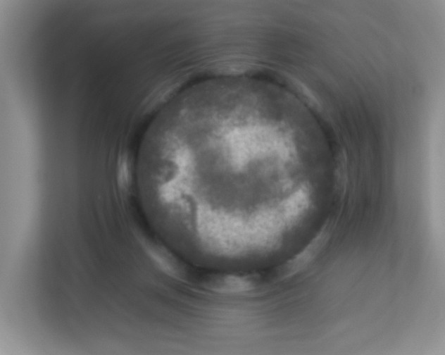 X0000113290166200909281019