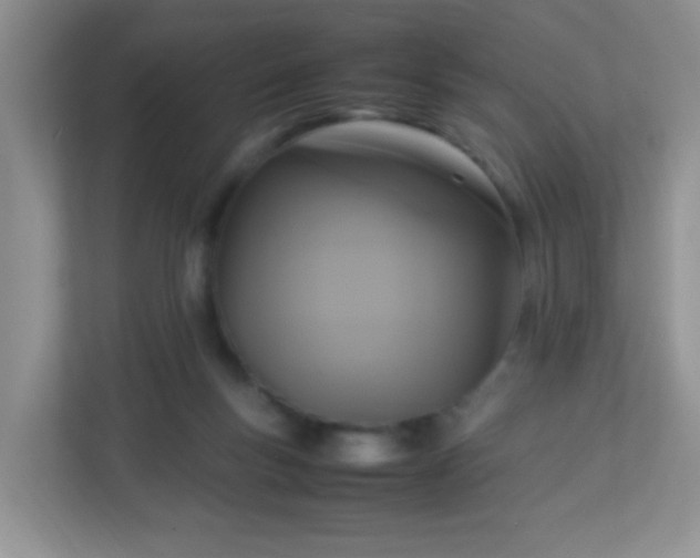 X0000113290167200909281019