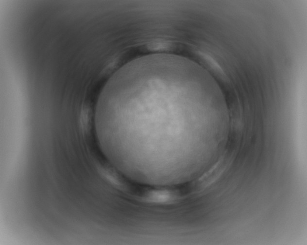 X0000113290171200909281019