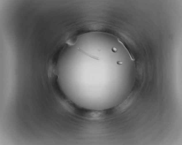 X0000113290172200909281019