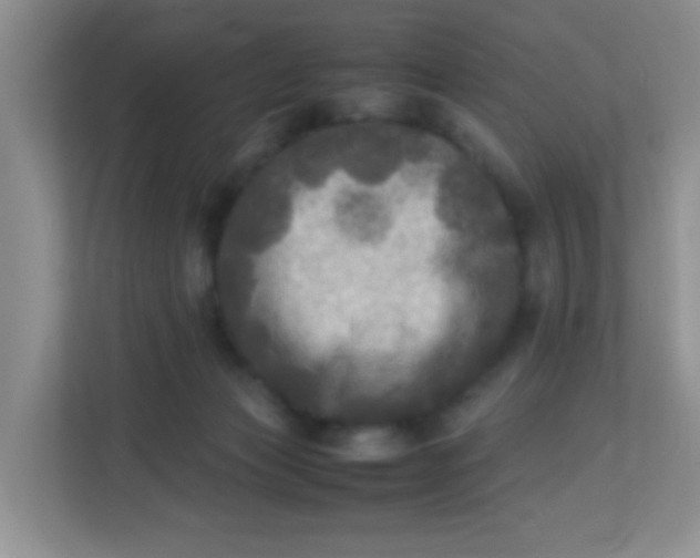 X0000113290173200909281019