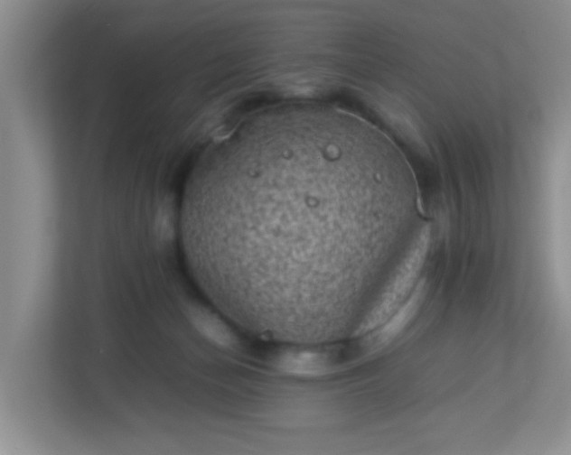 X0000113290174200909281019