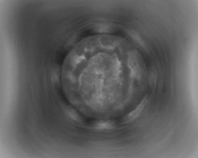 X0000113290175200909281019