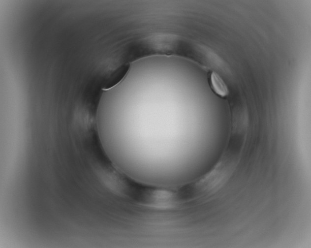 X0000113290176200909281019