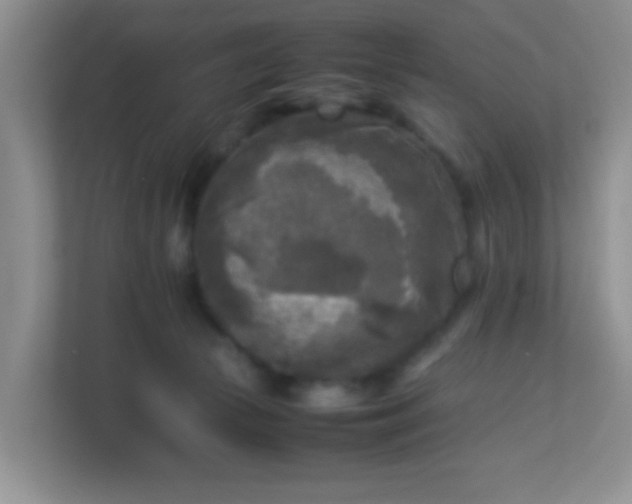 X0000113290177200909281019