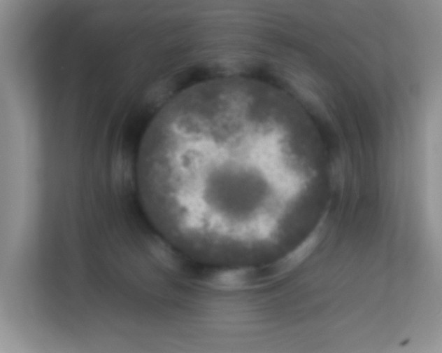 X0000113290178200909281019