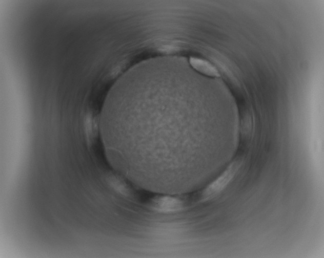 X0000113290180200909281019