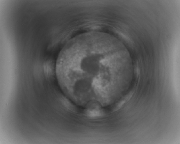 X0000113290181200909281019