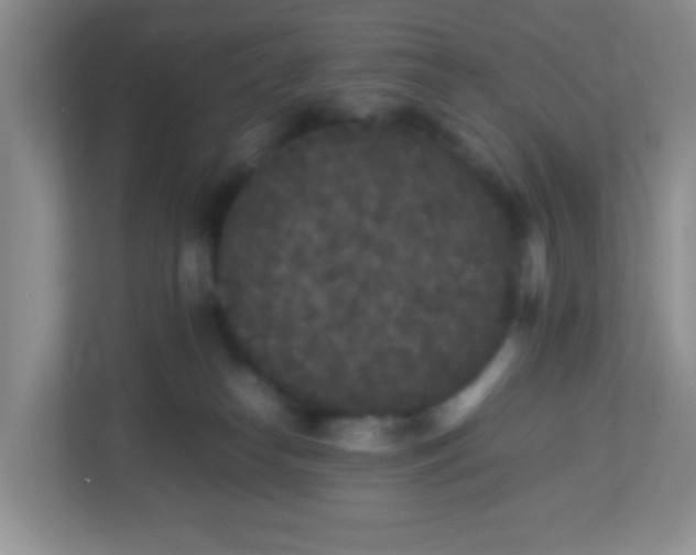 X0000113290182200909281019