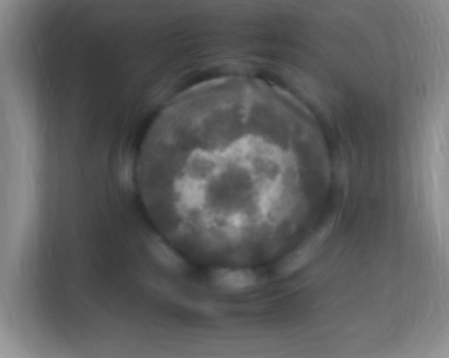 X0000113290185200909281019