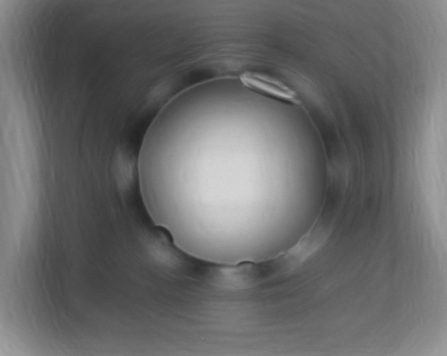 X0000113290188200909281019