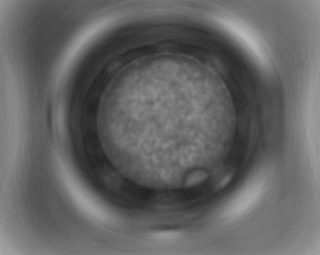 X0000113290189200909281019